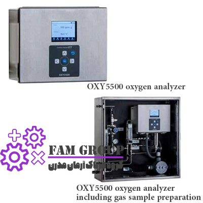 Endress+Hauser OXY5500 oxygen analyzer